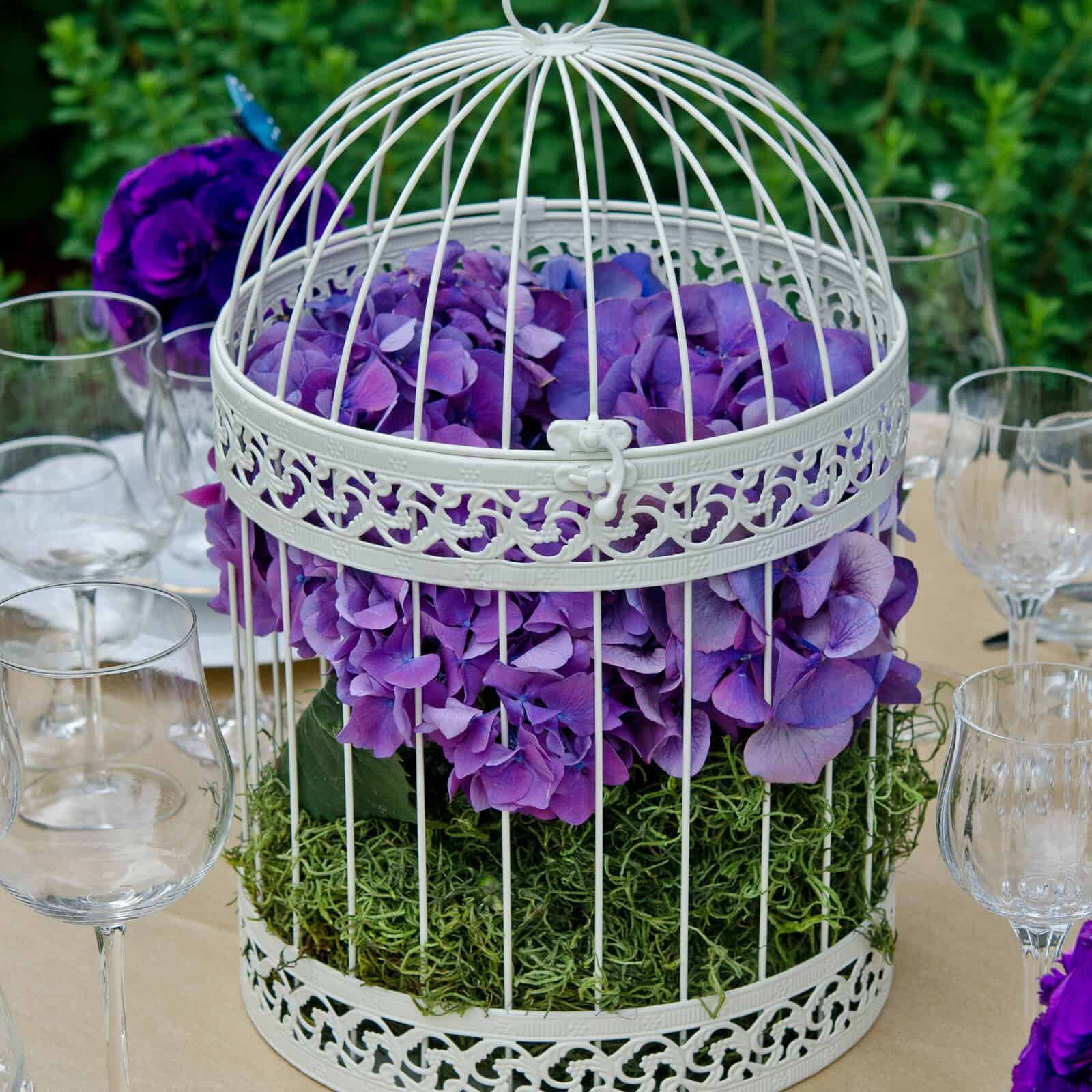 Sofie Decorative Bird Cage