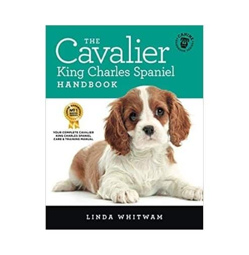 Cavalier Handbook