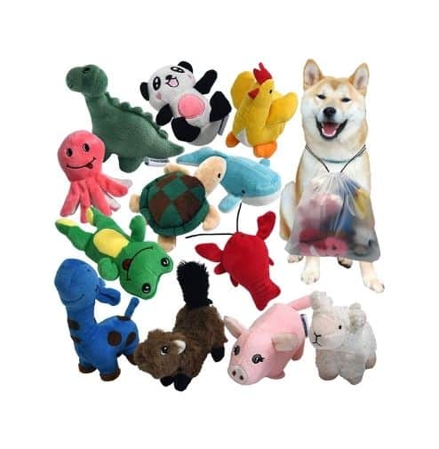 Squeaky Dog Toy